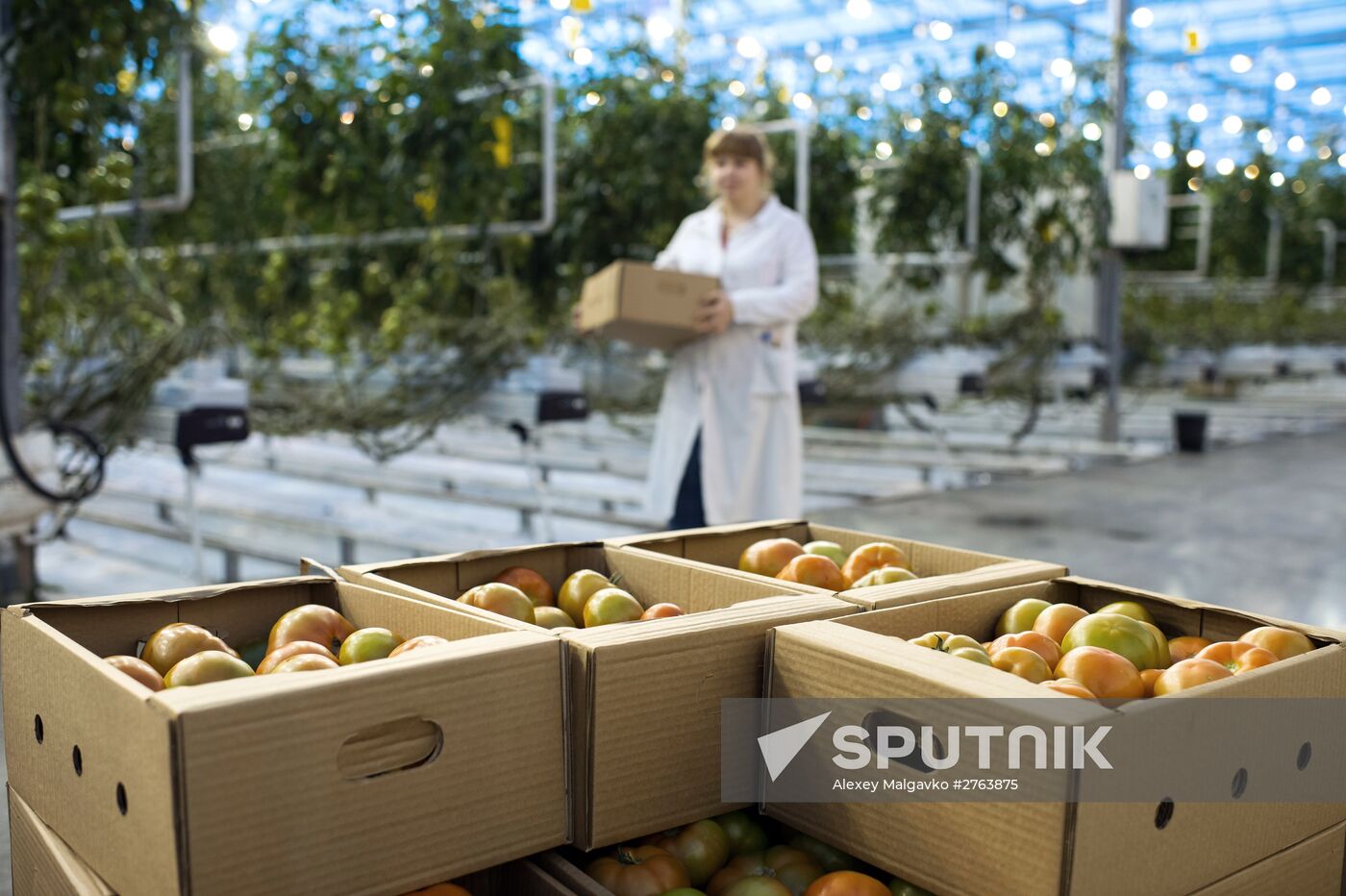 The Druzhino agricultural center in the Omsk Region