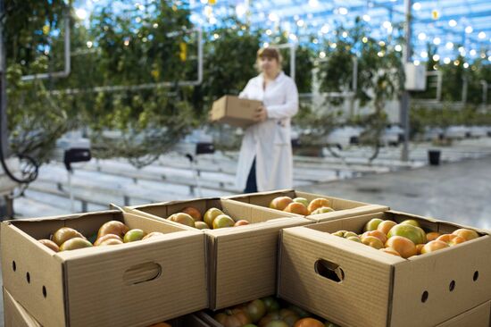 The Druzhino agricultural center in the Omsk Region