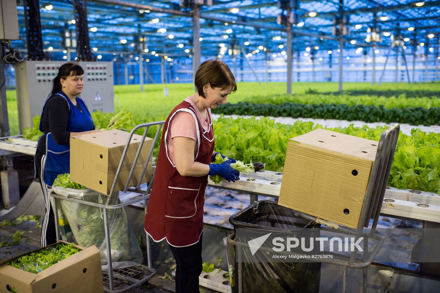 The Druzhino agricultural center in the Omsk Region