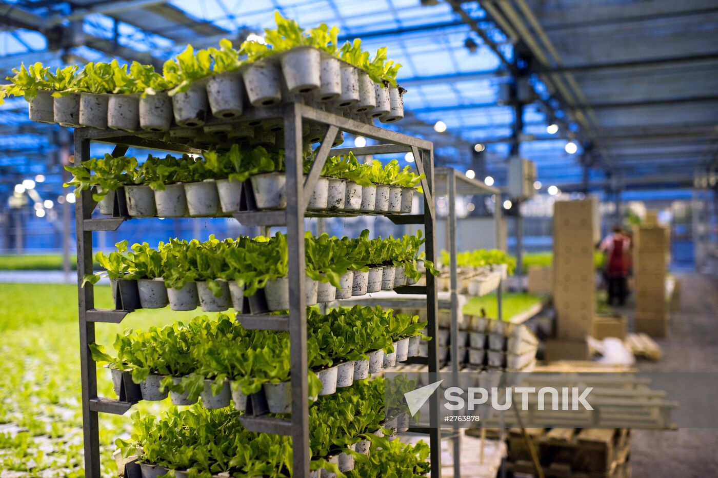 The Druzhino agricultural center in the Omsk Region