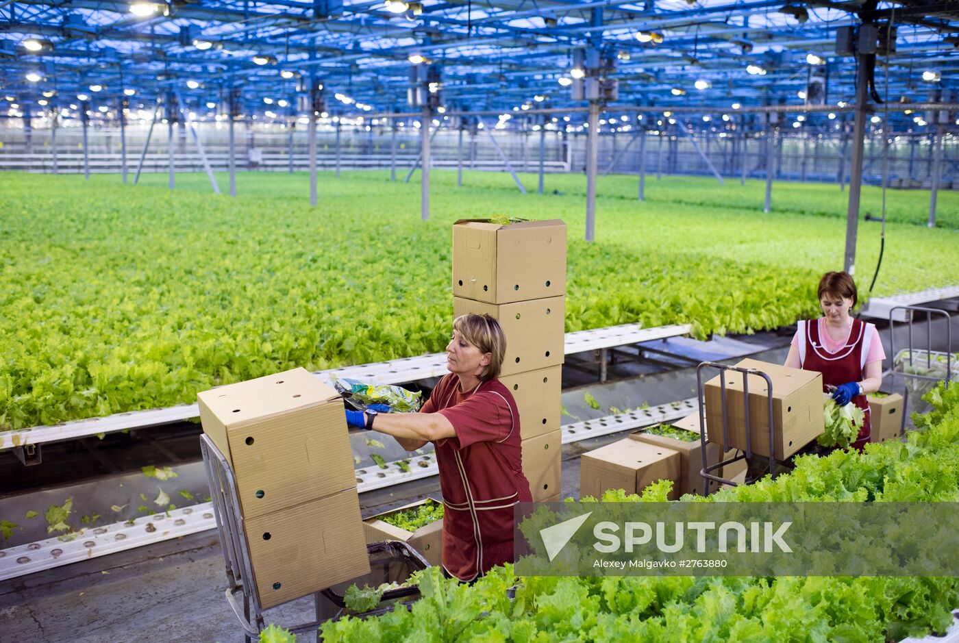 The Druzhino agricultural center in the Omsk Region