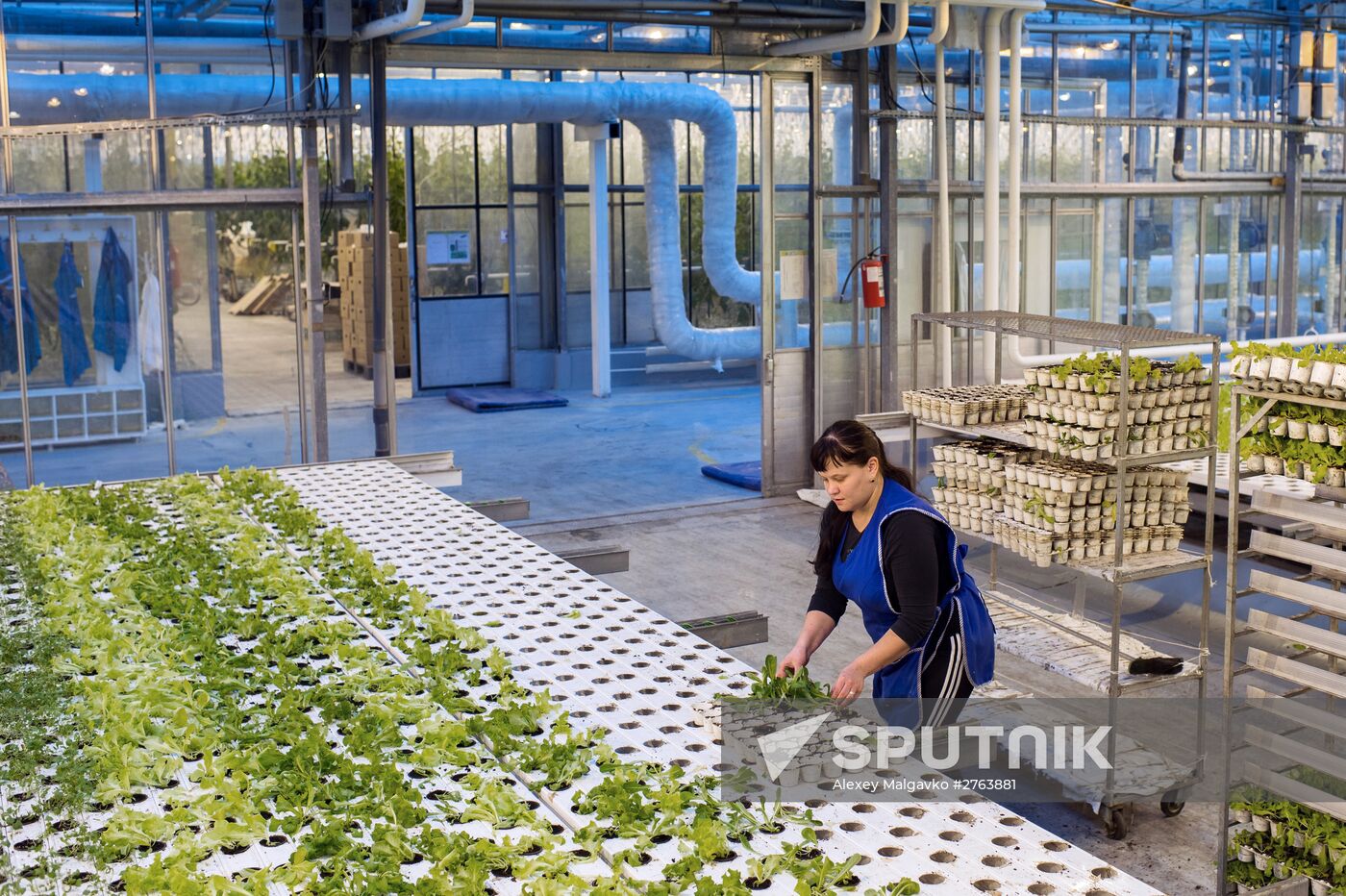 The Druzhino agricultural center in the Omsk Region