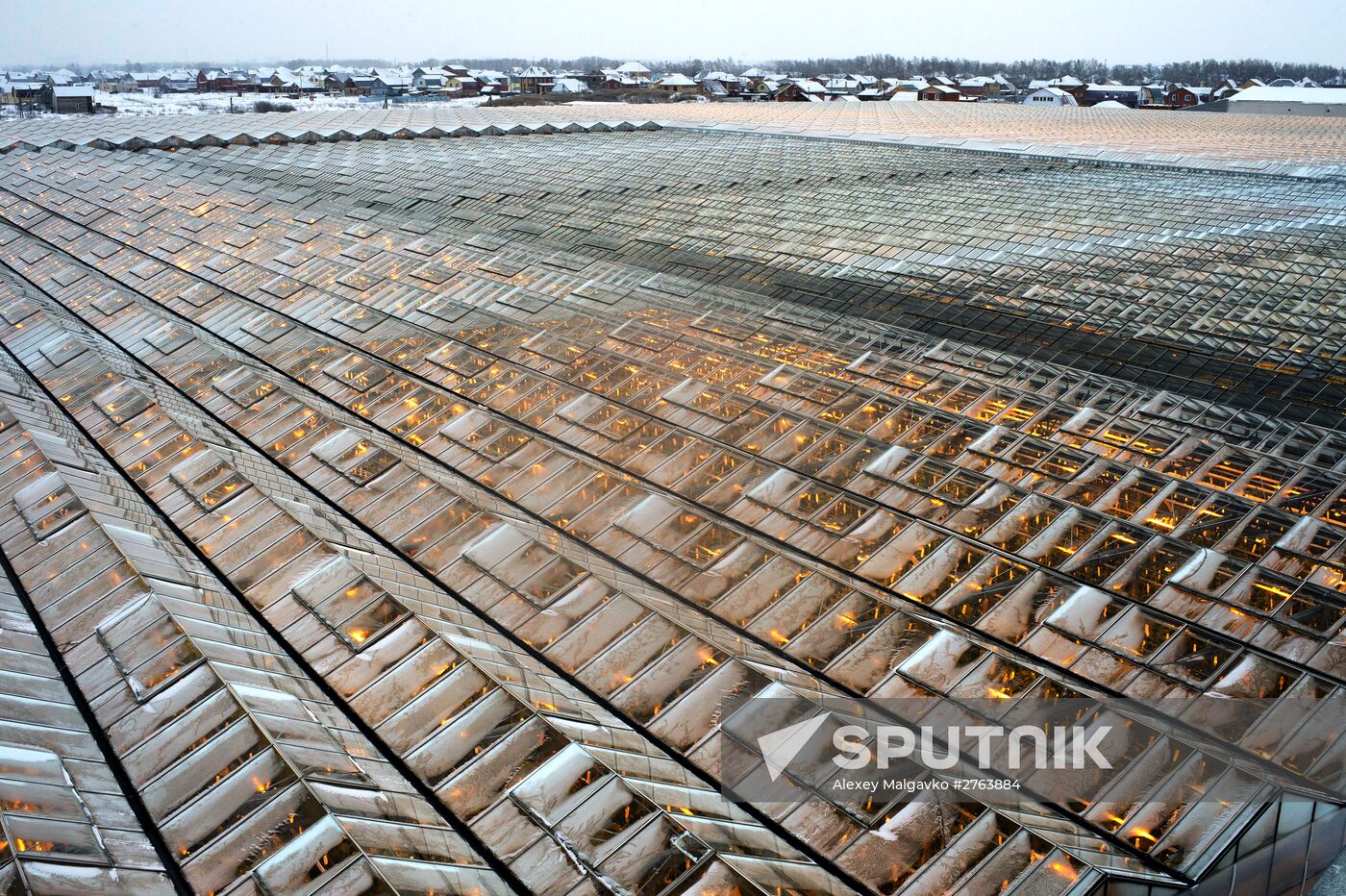 The Druzhino agricultural center in the Omsk Region