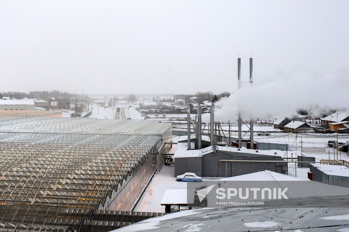 The Druzhino agricultural center in the Omsk Region