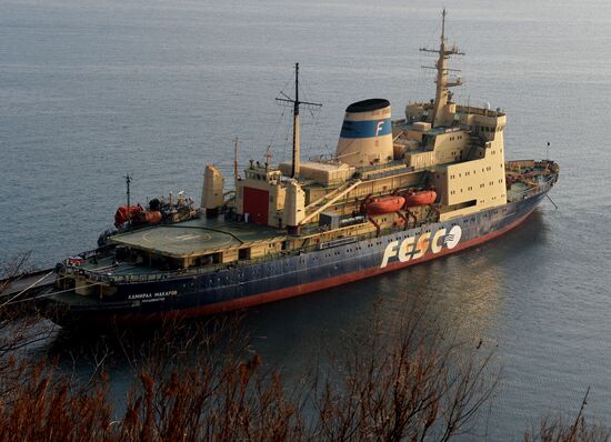 Seeing off icebreaker "Admiral Makarov" leaving Vladivostok
