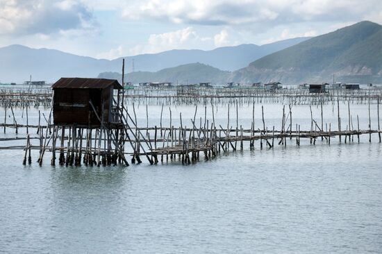 Countries of the world. Vietnam