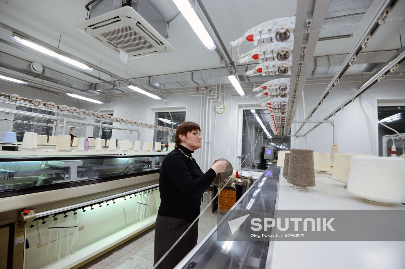 Orenburg Downy Shawls Industrial Park