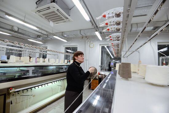 Orenburg Downy Shawls Industrial Park