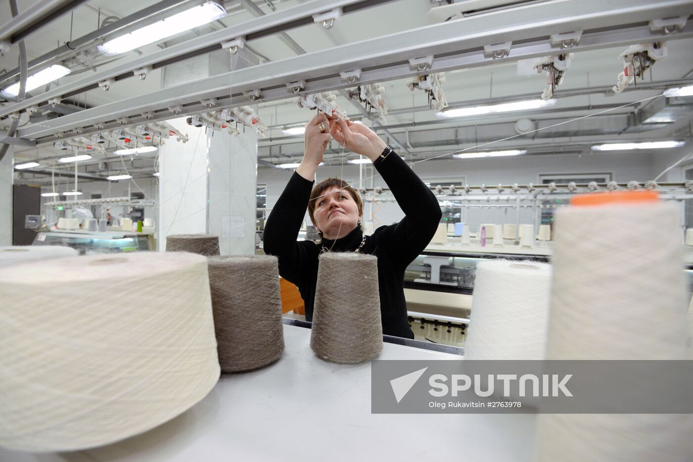 Orenburg Downy Shawls Industrial Park