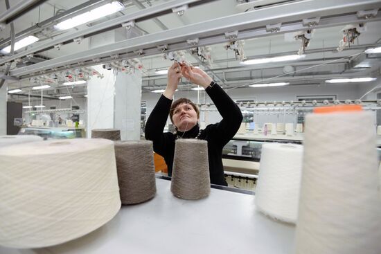 Orenburg Downy Shawls Industrial Park