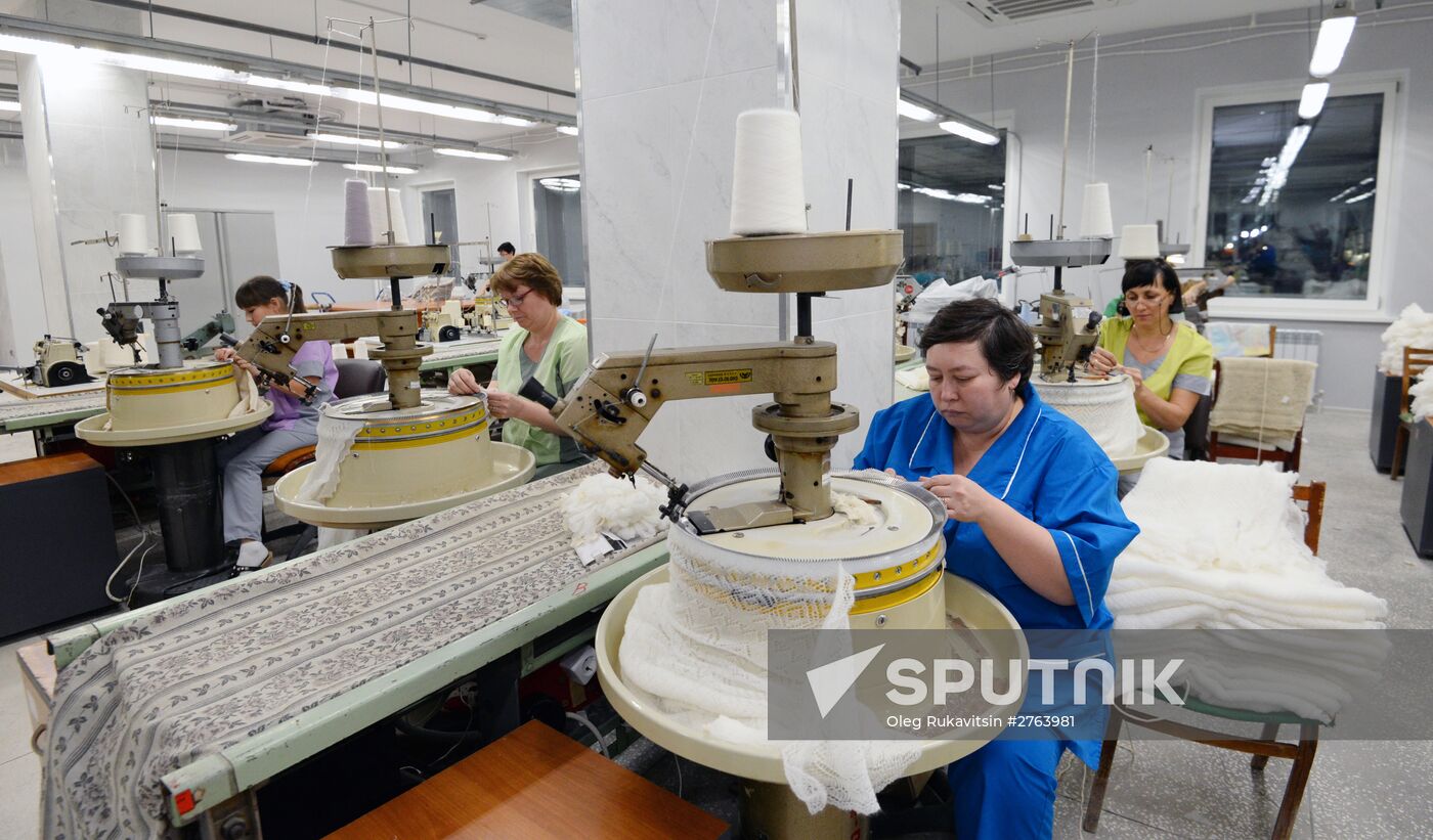 Orenburg Downy Shawls Industrial Park