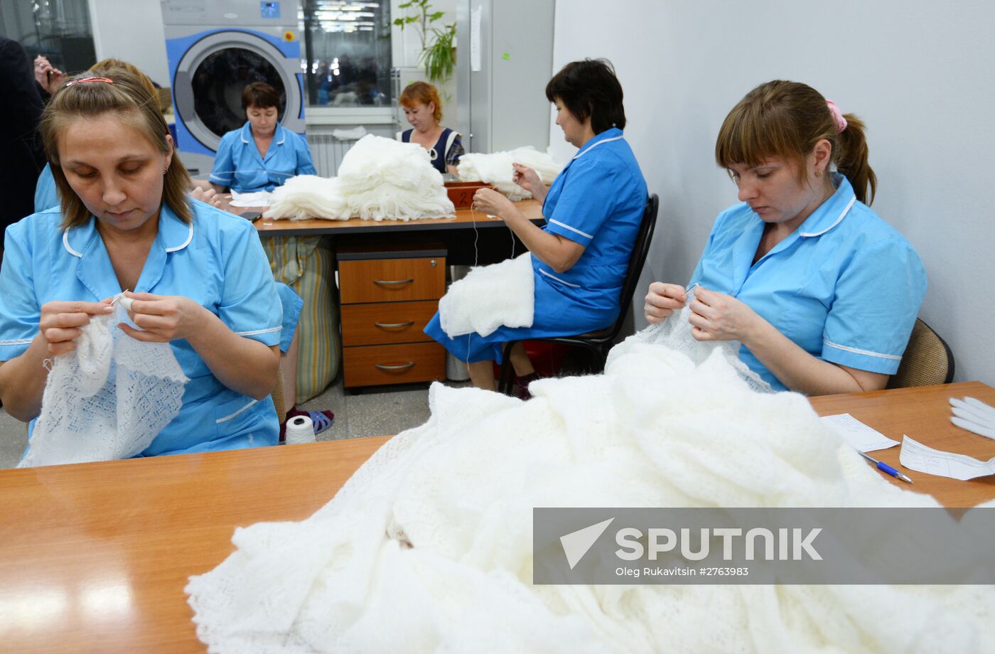 Orenburg Downy Shawls Industrial Park