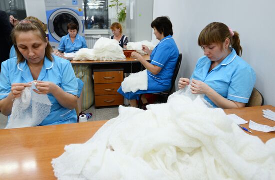 Orenburg Downy Shawls Industrial Park