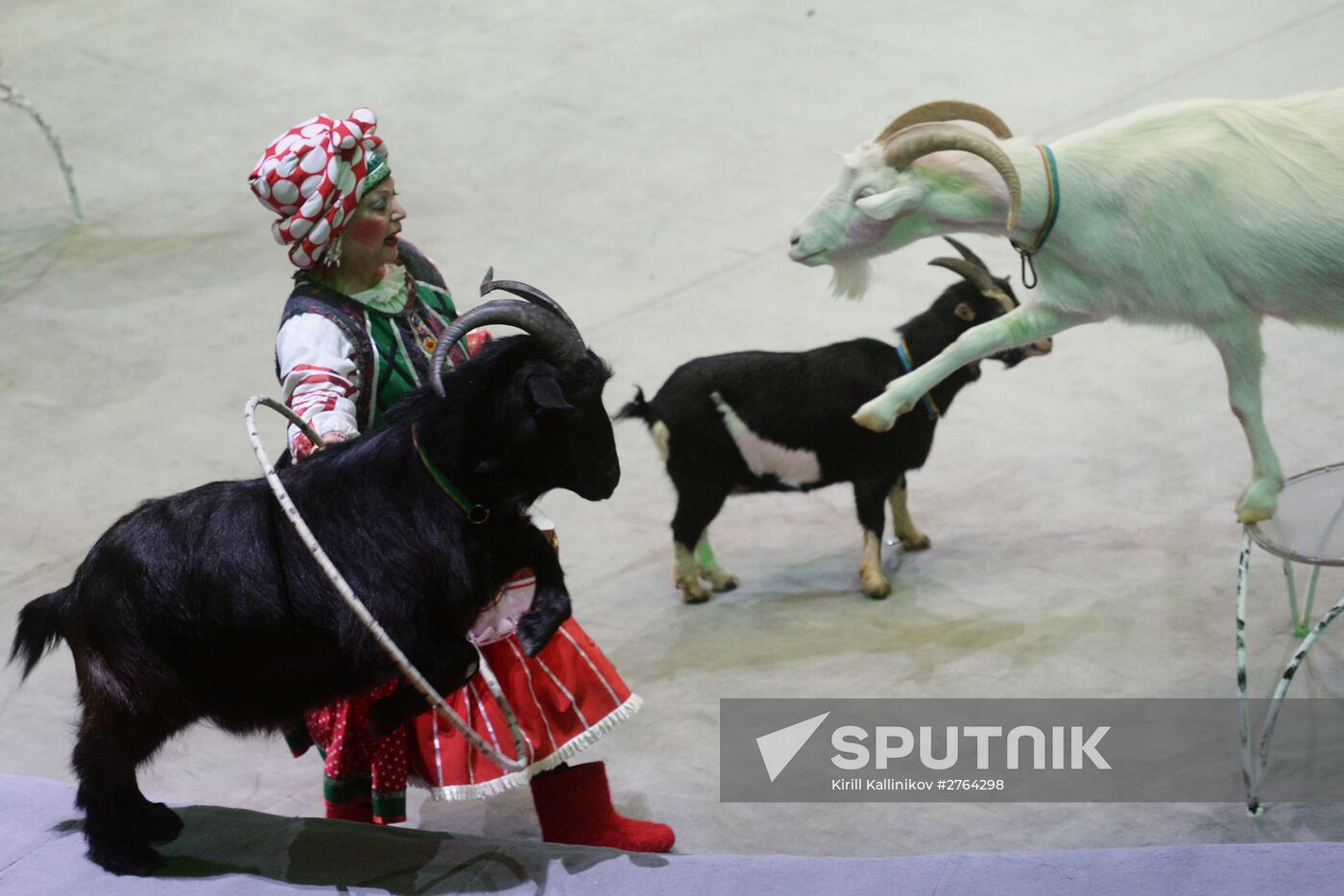 Big State Circus opens in Moscow following repairs