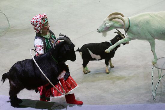 Big State Circus opens in Moscow following repairs