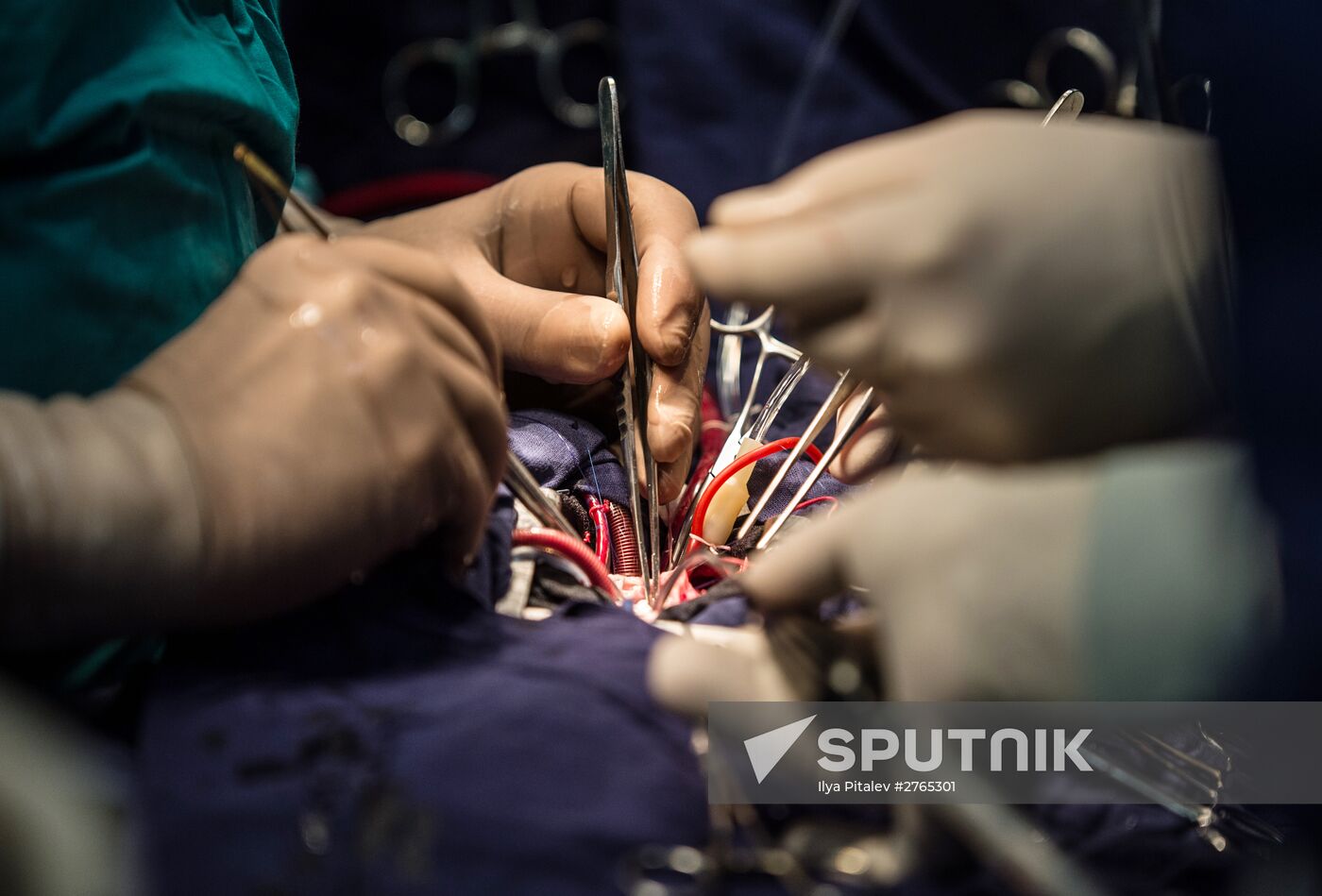 Cardiosurgeon Leo Bakeria awarded Alexander Nevsky Order