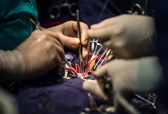 Cardiosurgeon Leo Bakeria awarded Alexander Nevsky Order