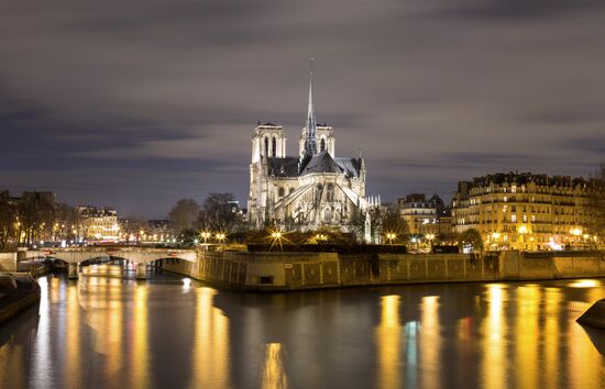 Paris decorated for the New Year's