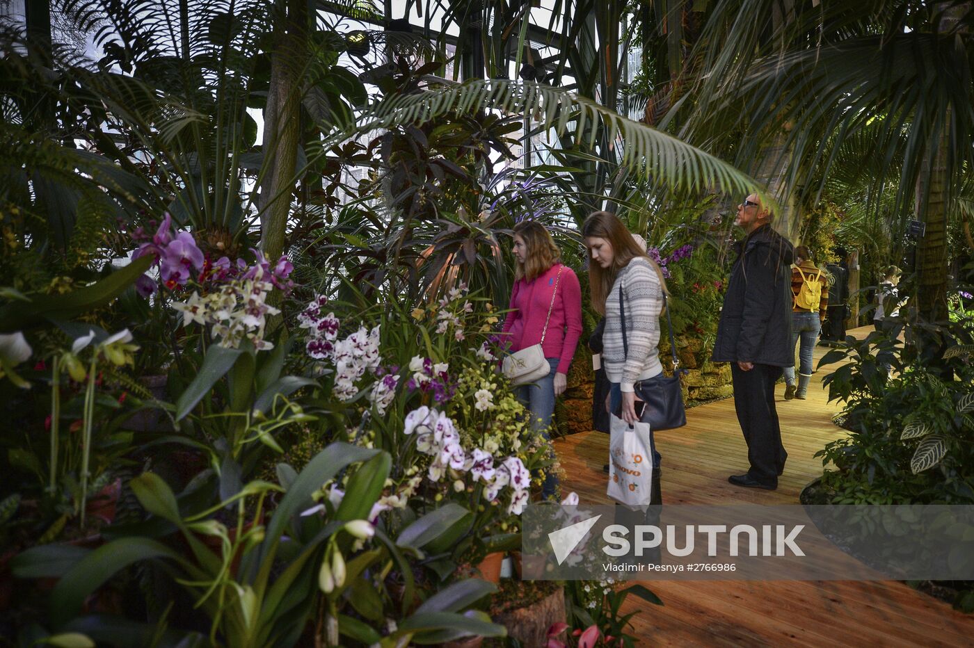 Tropical Winter, 7th annual festival of orchids, carnivorous and desert plants