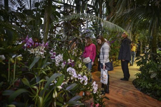 Tropical Winter, 7th annual festival of orchids, carnivorous and desert plants