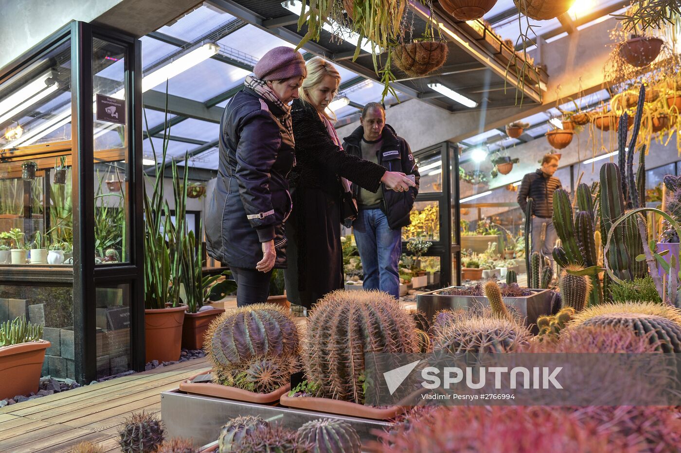 Tropical Winter, 7th annual festival of orchids, carnivorous and desert plants