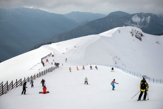 Winter season kicks off in Sochi