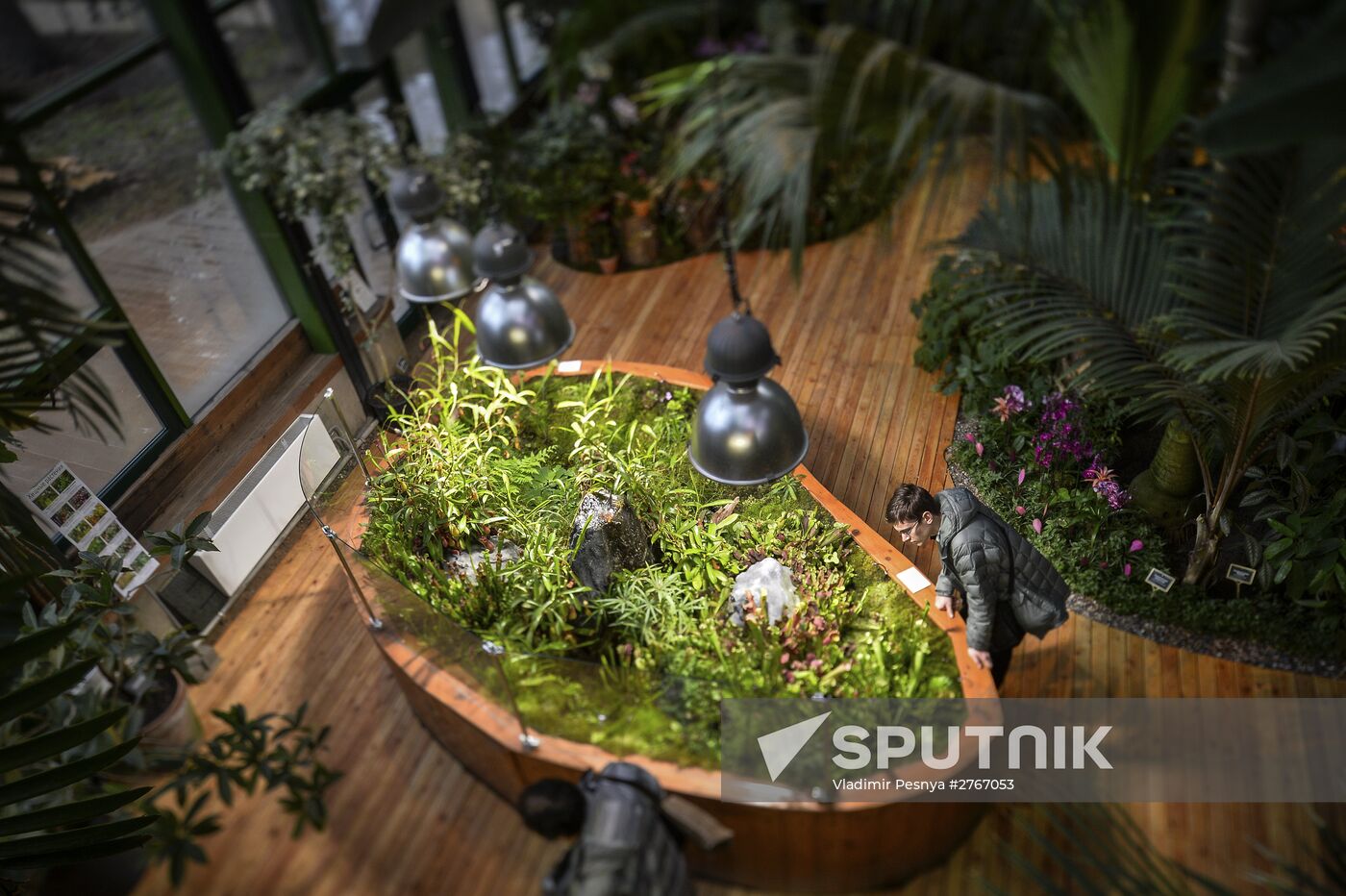 Tropical Winter, 7th annual festival of orchids, carnivorous and desert plants