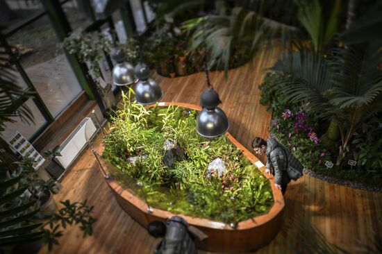 Tropical Winter, 7th annual festival of orchids, carnivorous and desert plants