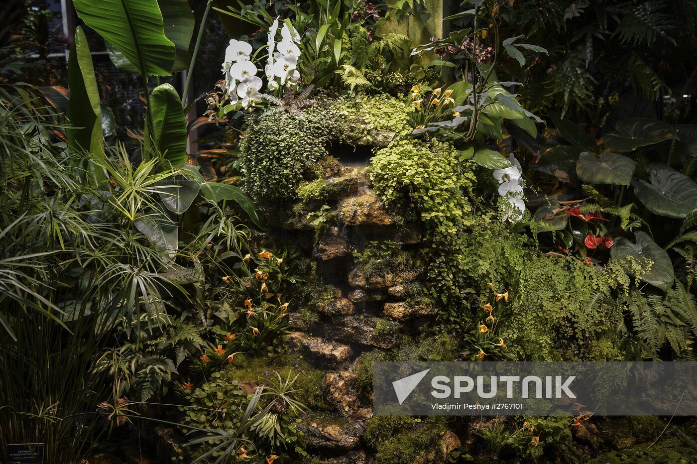 Tropical Winter, 7th annual festival of orchids, carnivorous and desert plants