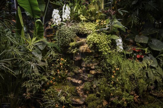 Tropical Winter, 7th annual festival of orchids, carnivorous and desert plants