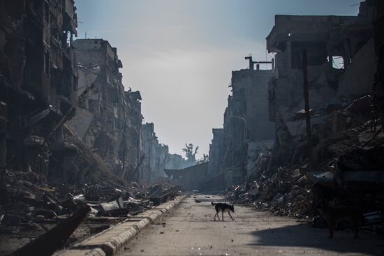 Syria update