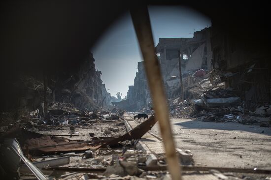 Syria update