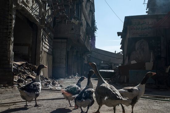 Syria update