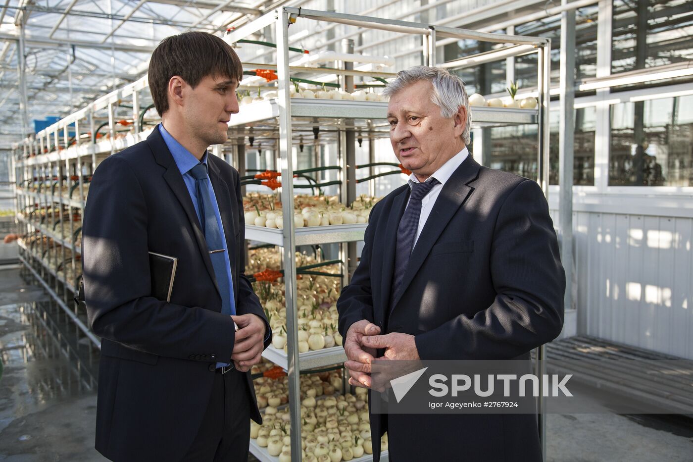 Greenhouse complex in Blagoveshchensk