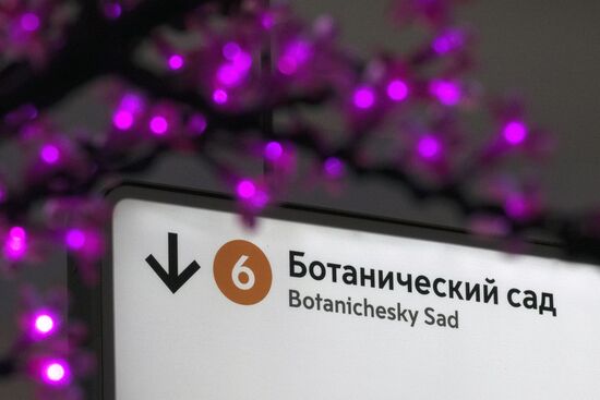 Botanichesky Sad Station's southern hallway opens after renovation