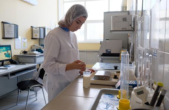 Danone plant in Samara