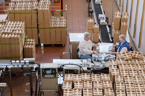 Danone plant in Samara