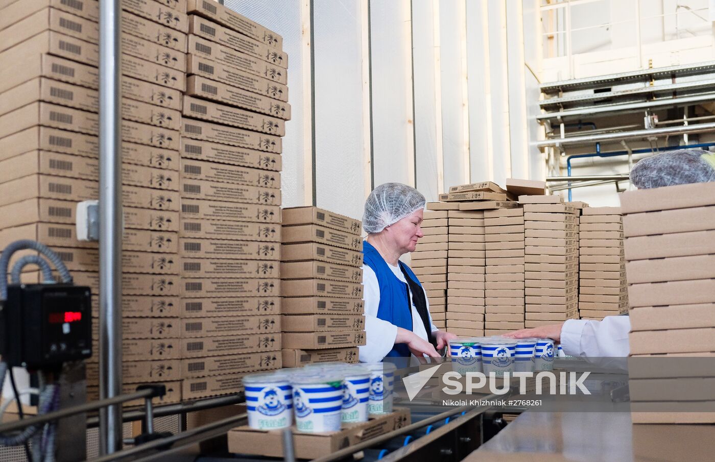 Danone plant in Samara