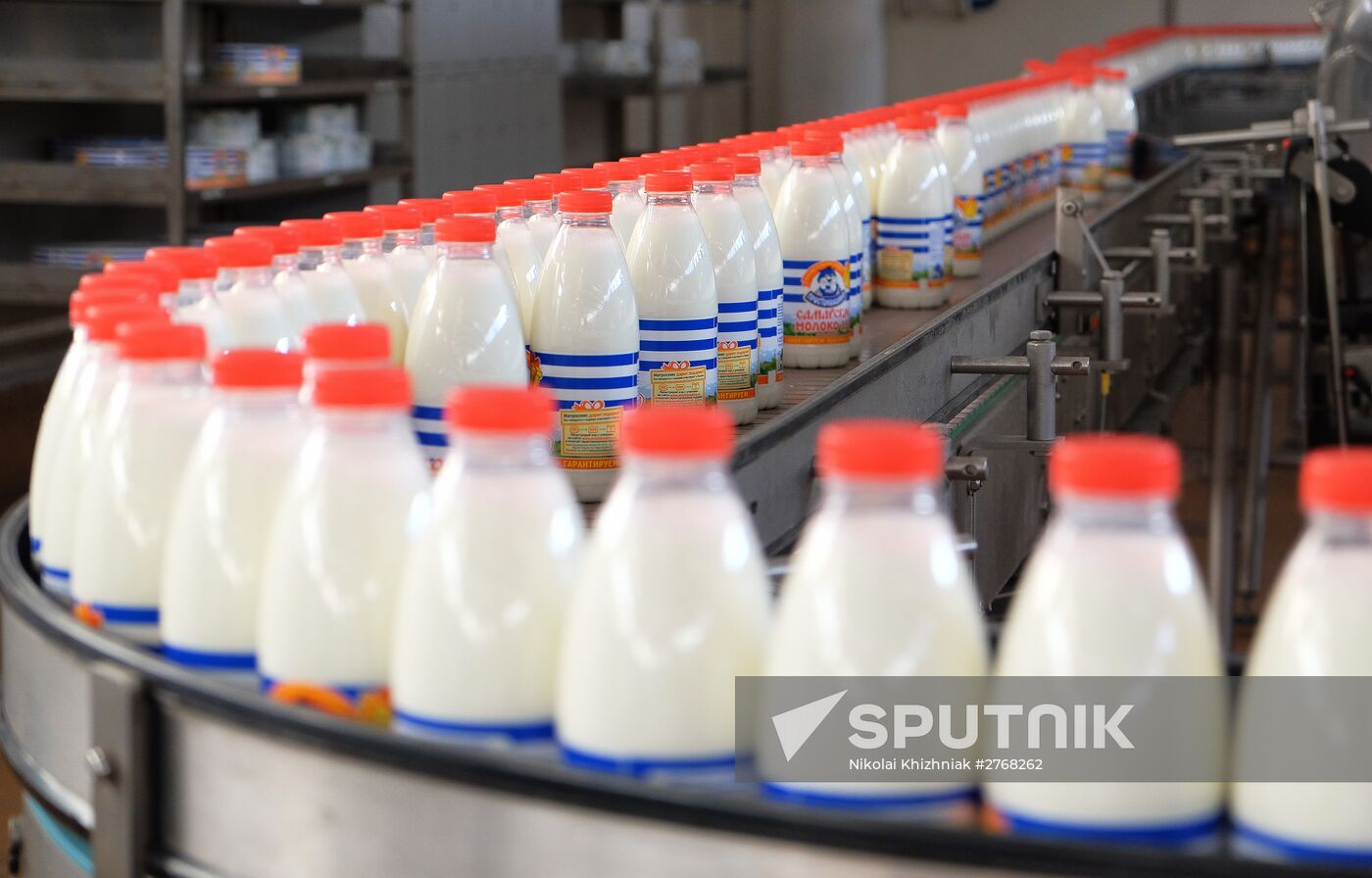 Danone plant in Samara