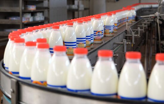 Danone plant in Samara