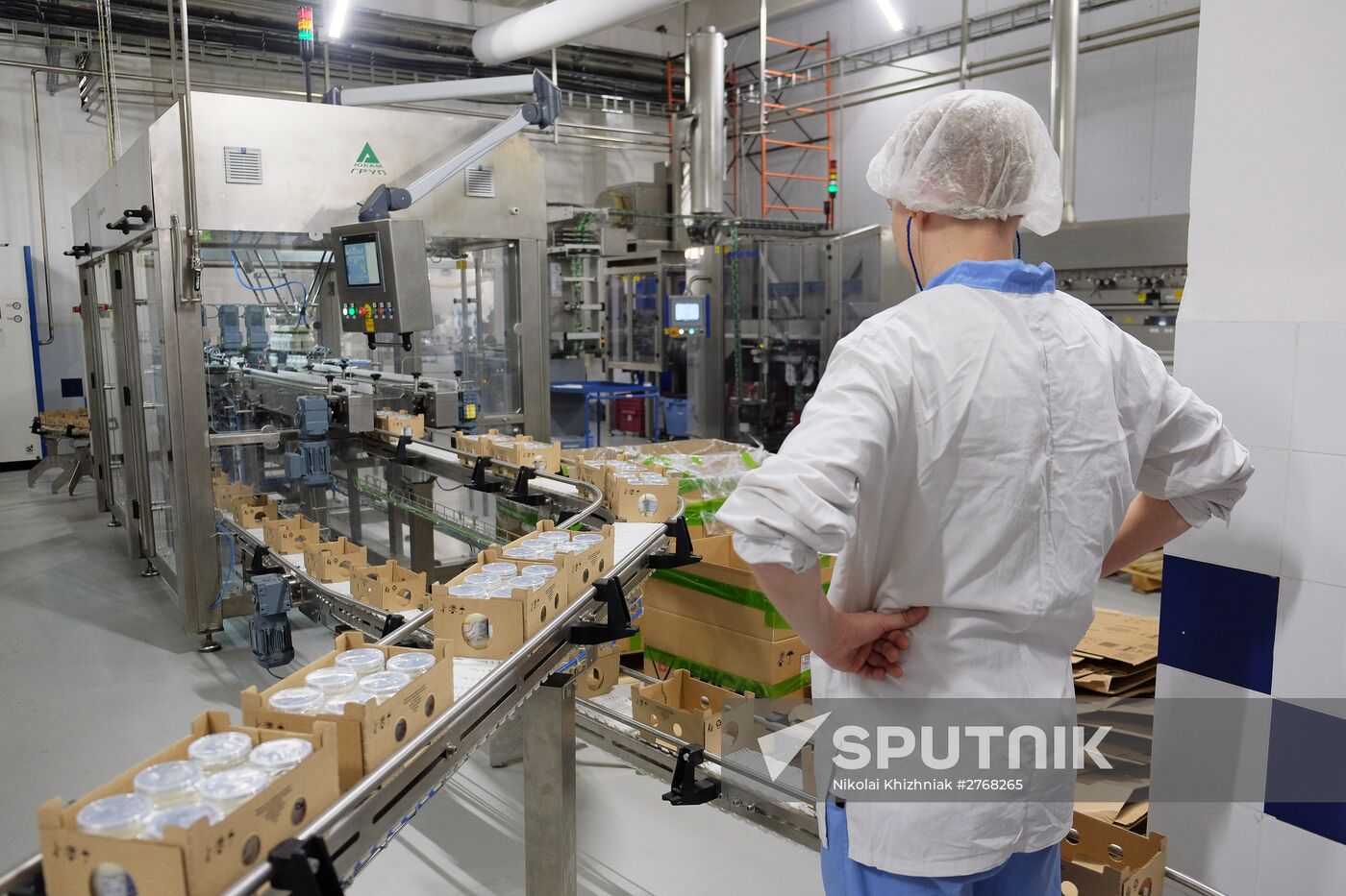 Danone plant in Samara