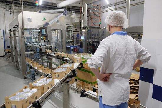 Danone plant in Samara