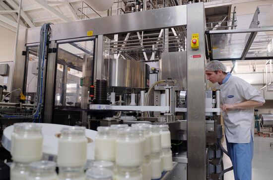 Danone plant in Samara