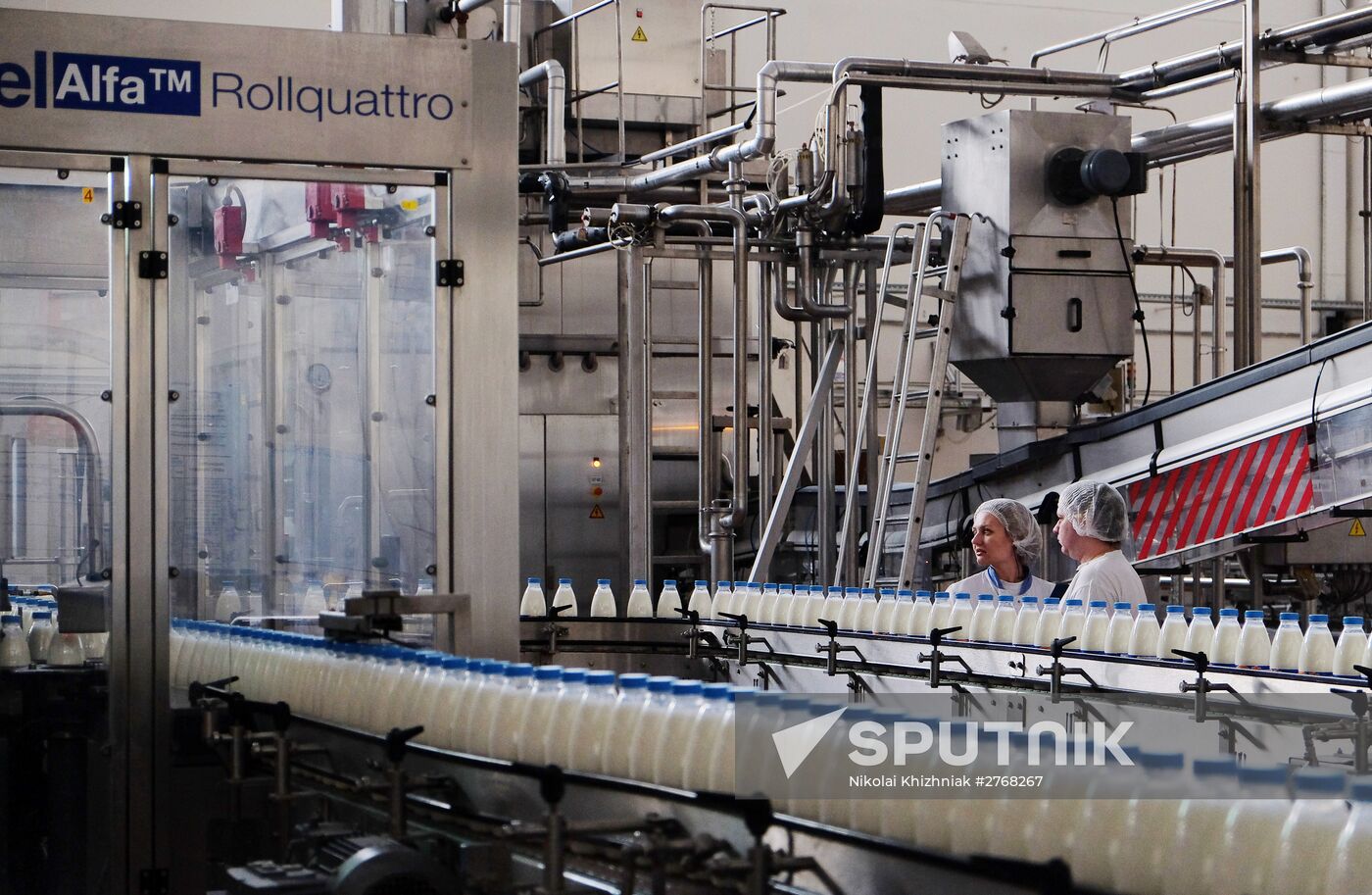 Danone plant in Samara