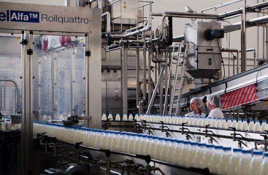 Danone plant in Samara