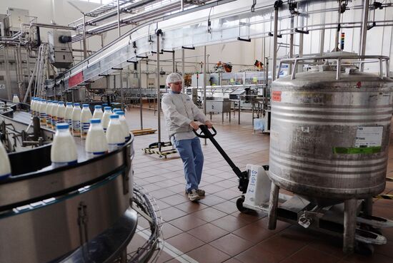 Danone plant in Samara