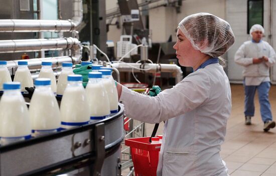 Danone plant in Samara