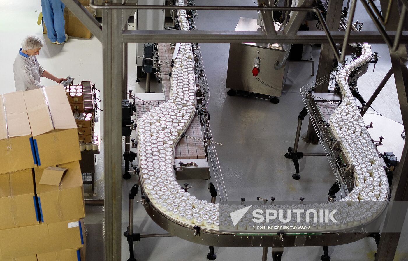 Danone plant in Samara