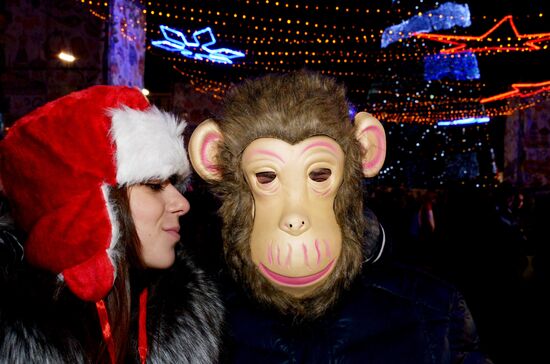 New Year celebrations in Russian cities