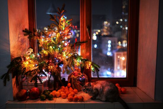 New Year celebrations in Russian cities